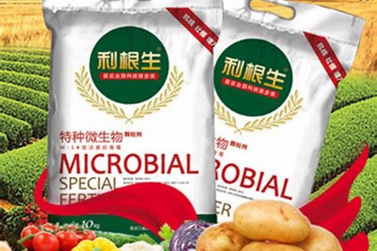 柑橘秋梢不整齐怎样治？