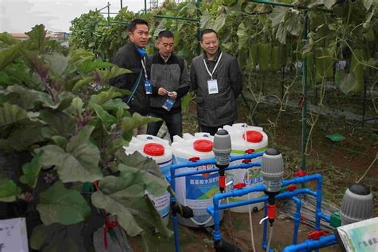 养花什么时候施氮肥(给花施氮肥比例是多少)