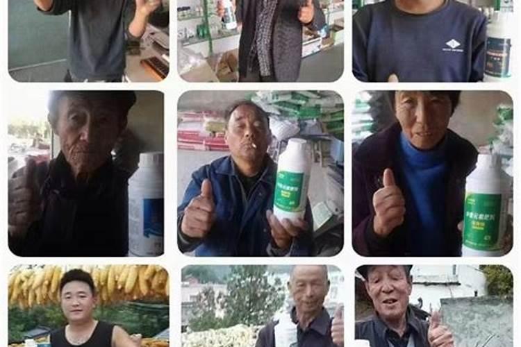 有机蔬菜和无公害蔬菜有什么区别