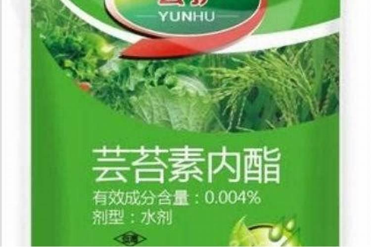 樱桃病毒病防治方法
