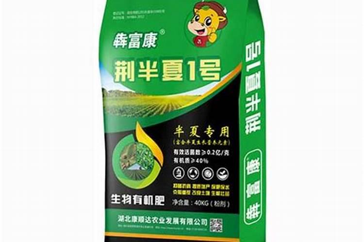 哪里能买到半夏种子