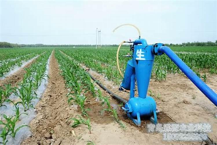 蓝莓冬季施肥方法 什么时间施肥最好