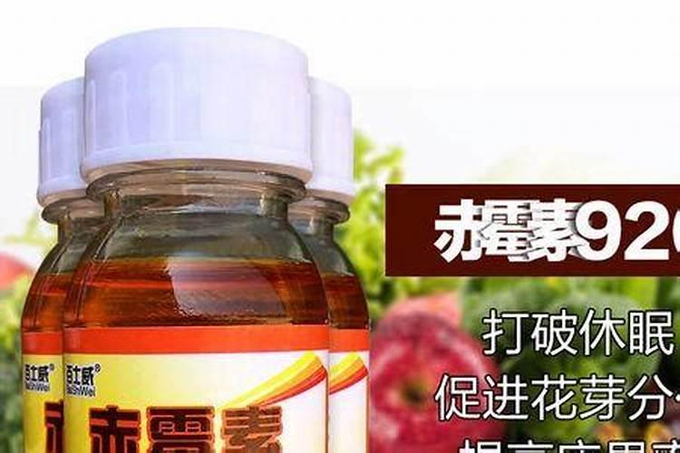 花生榨油后的饼可以当肥料吗