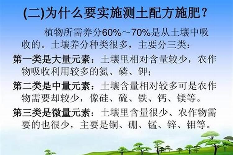 蔬菜施肥的方法和注意事项 蔬菜施肥的方法和注意事项有哪些百度...