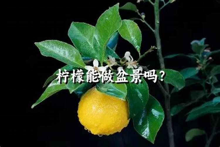 慢性肾脏疾病有治疗方法吗？