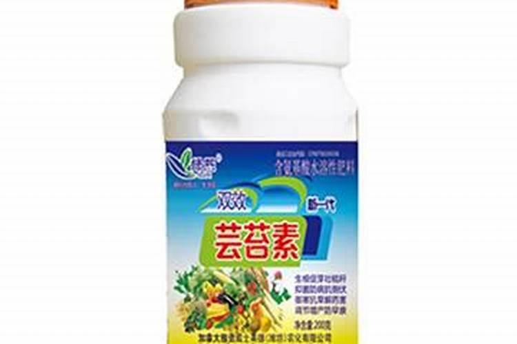 多肉买回来可以直接上盆吗