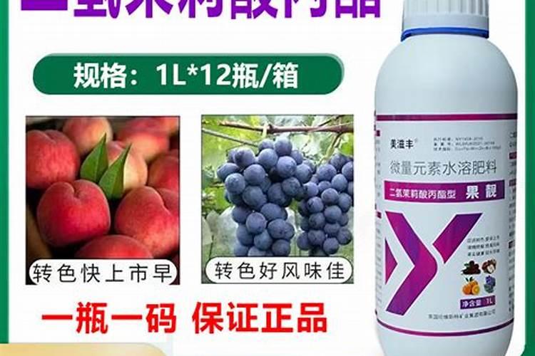 多肉需要施肥吗怎么施肥