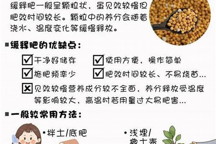 上海青怎么种才长得快 上海青长得快的种植方法
