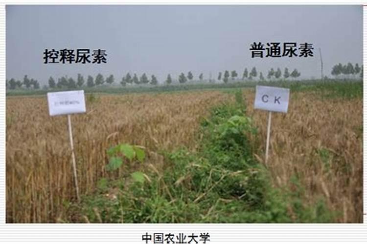 苹果树喷什么叶面肥好