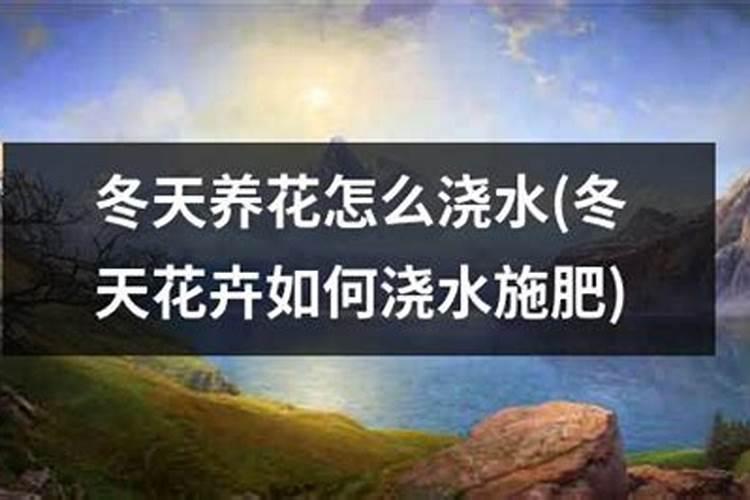 蓝莓膨果期施什么肥比较好