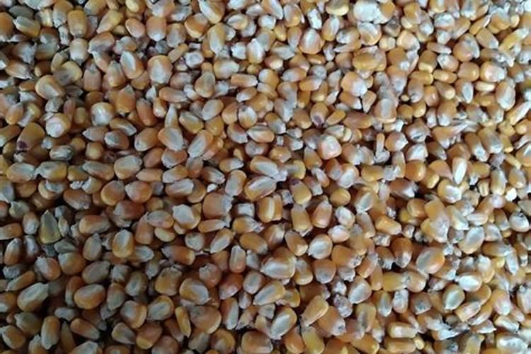 住商肥料玉米专用肥价格多少