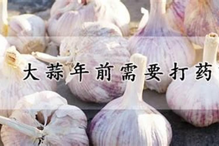 大蒜返青肥施什么肥好