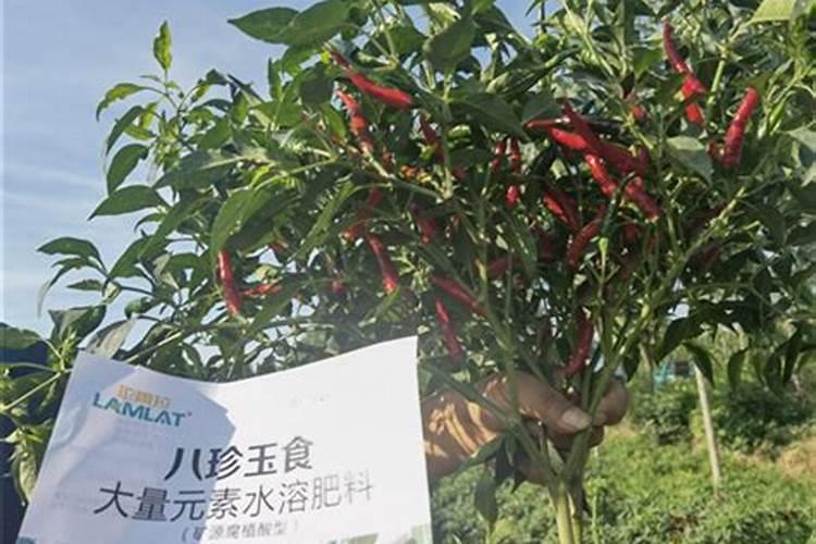 奥绿肥适合哪些植物？
