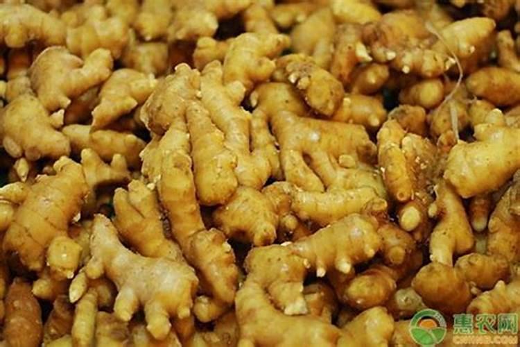 生姜栽培方法总结 浇水与追肥要注意什么