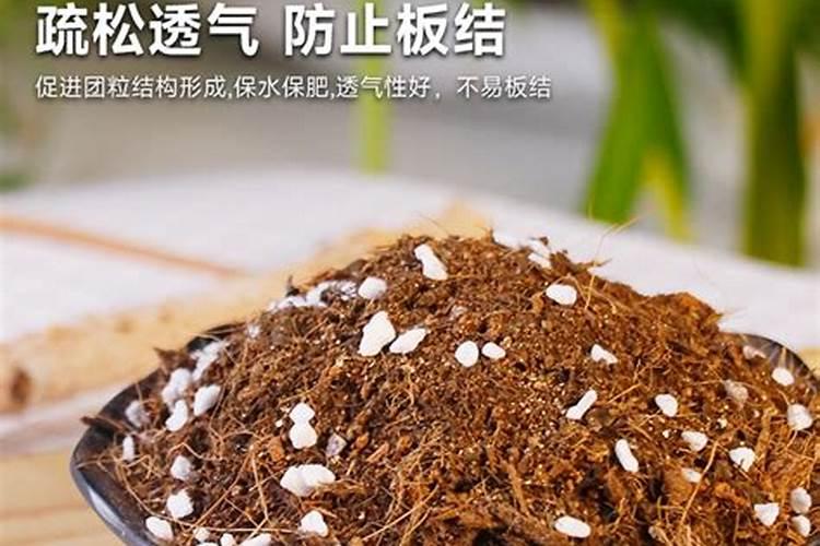 小麦上喷施硼肥有什么好处？拔节孕穗期喷几次,才能籽粒饱满能增产？