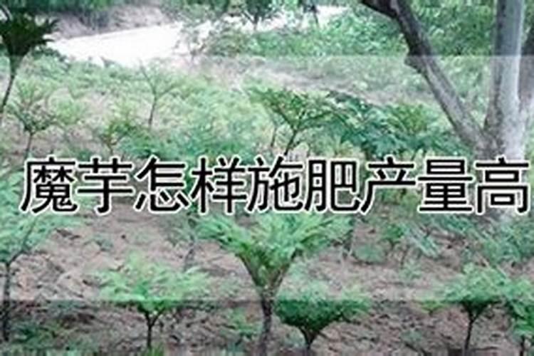 为什么要用硫酸制造化肥、药物和塑料呢？