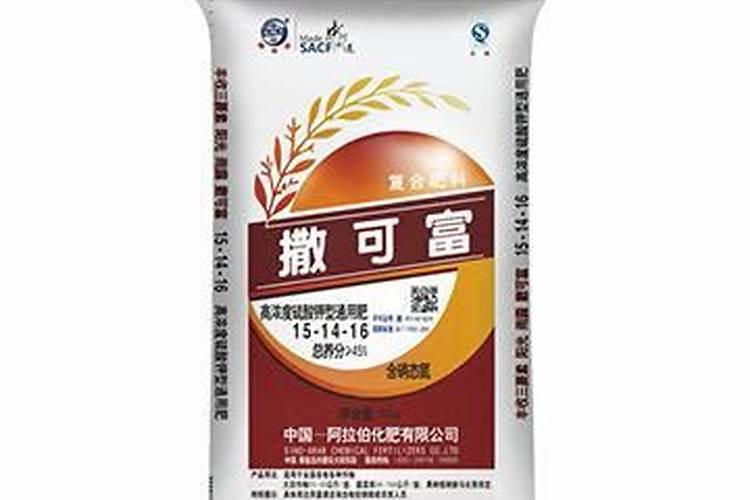 种番茄需要掌握哪些技巧？如何提高番茄的质量？