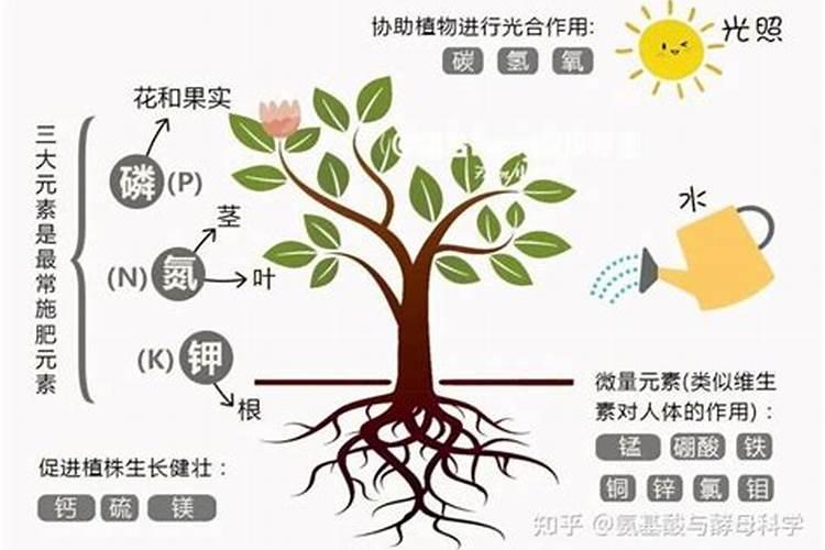 液体缓释氮肥有哪些作用呢？液态氮肥何为氮肥新时代？