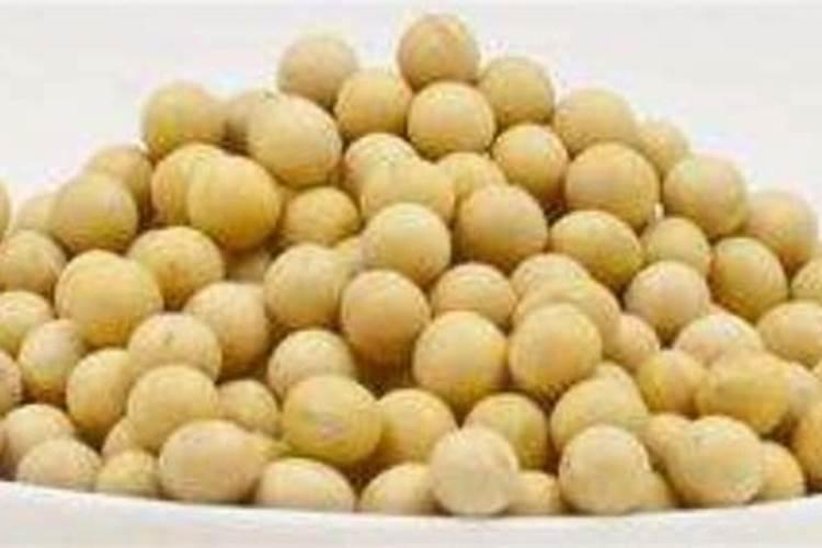 种植蘑菇需要什么条件 种植蘑菇需要哪些条件