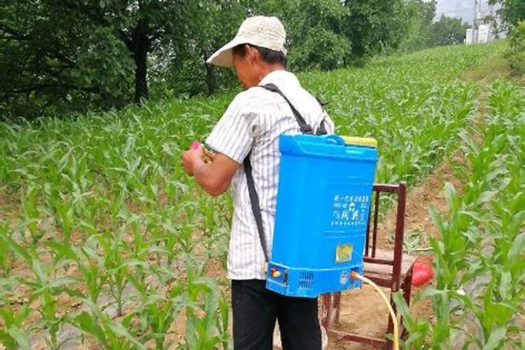 黄豆叶面肥什么时候打好 使用哪些肥料好