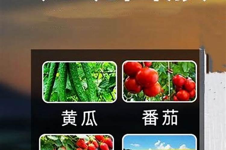 种莲藕用什么肥料好