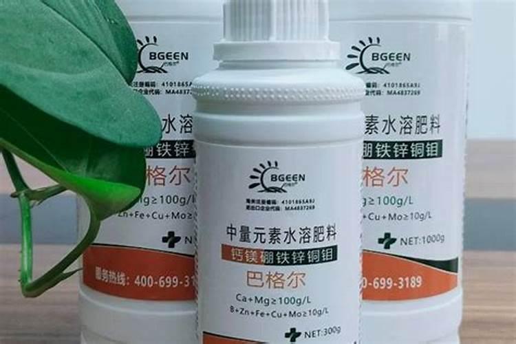 鱼蛋白肥料制作方法