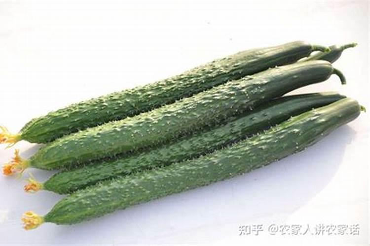 缺钾的症状与危害