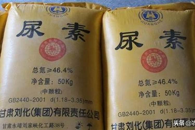 柠檬养殖方法和注意事项
