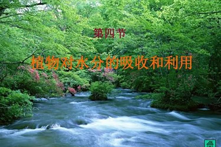 哪种肥料容易使钙流失,肥料的种类有哪些
