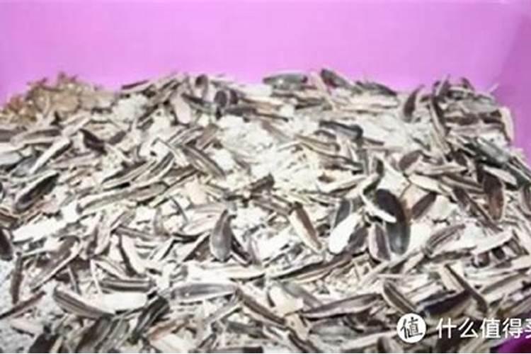 四季葱用什么肥长得快