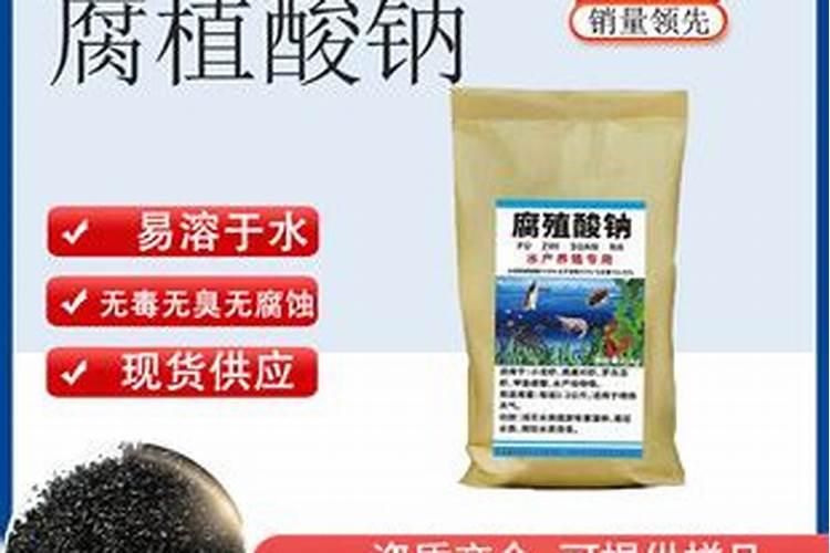 兰花喷施叶面肥需要注意些什么