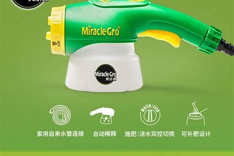 火龙果幼苗怎么施肥
