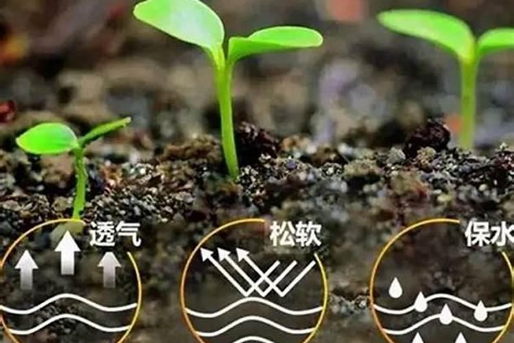 什么是有机肥？一般指那些肥？