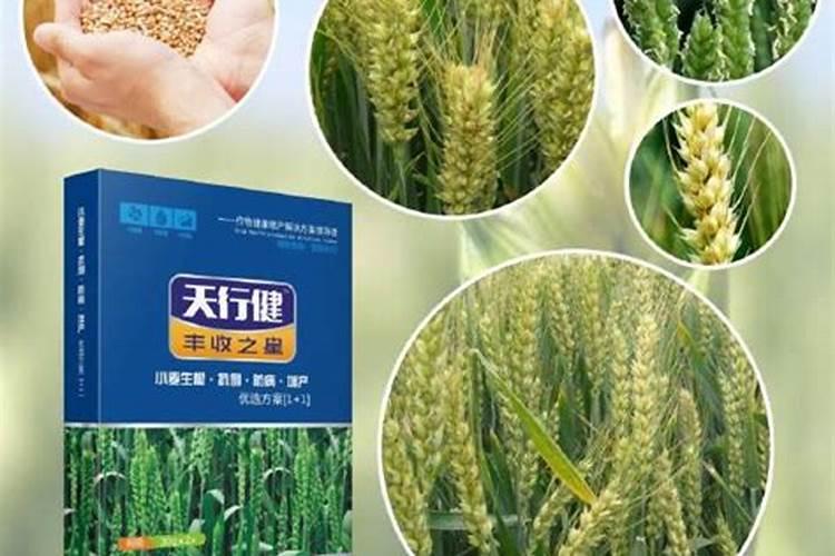 小麦叶面肥最低温度多少度适宜