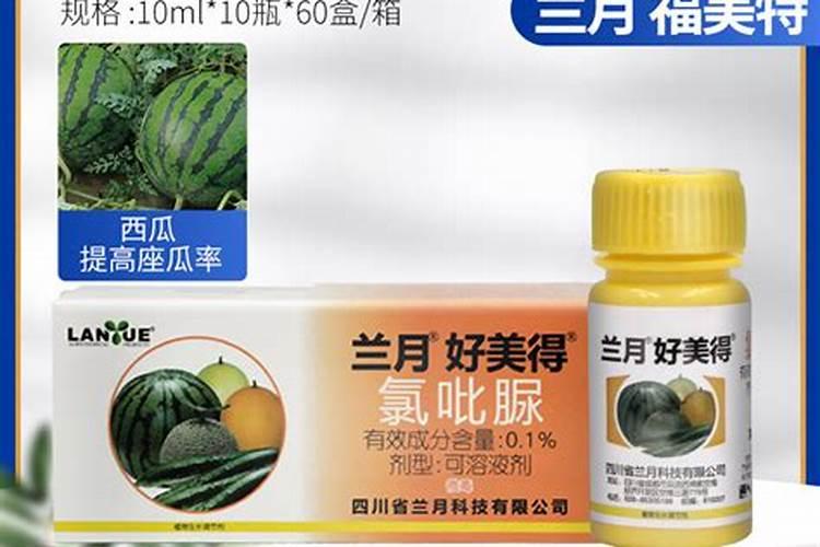 西瓜怎么种才不裂瓜西瓜不裂瓜的方法