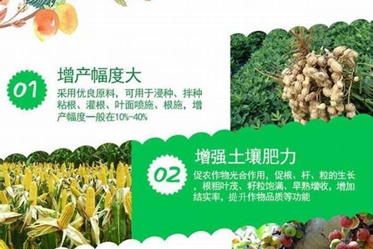 果树施用硅肥有哪些好处