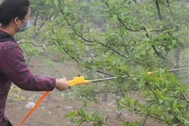 氮磷钾复合肥使用方法