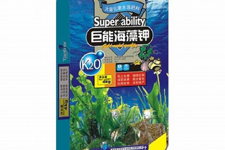 兰花要施什么肥？具体方法