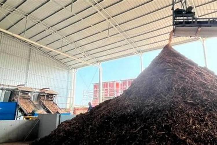 上海市是怎样处理生活垃圾的？