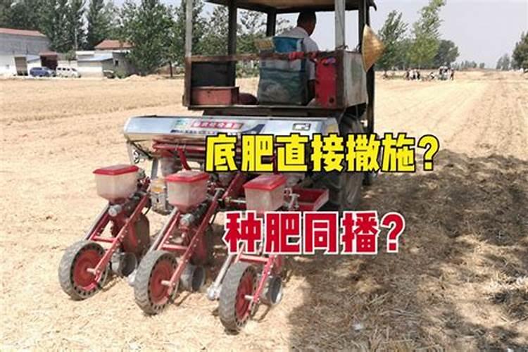 种玉米不放底肥可以吗