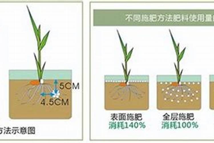 常见的浇花的钾肥和磷肥是什么