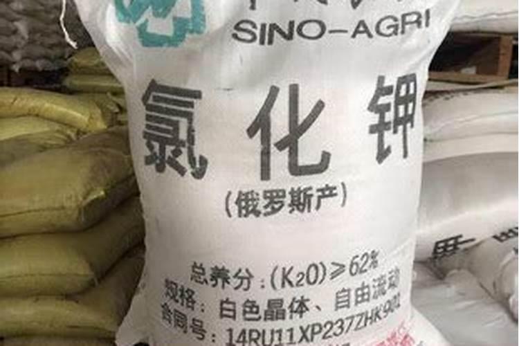 硝酸钾和硫酸钾哪个膨大好