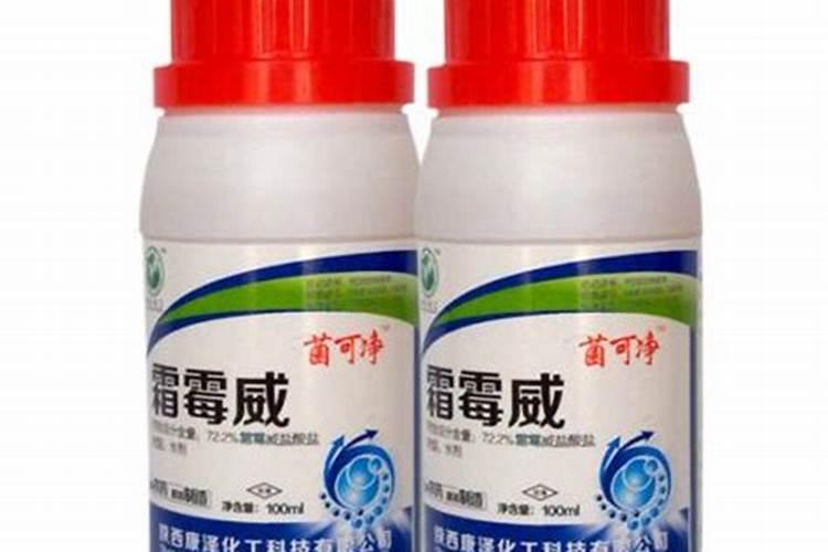 霜霉病用什么药最好