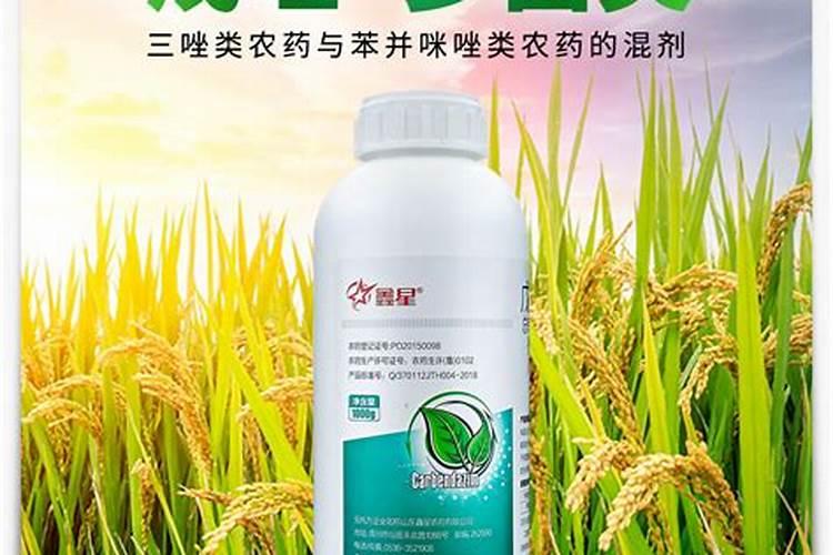 种水稻必须打农药,这是为什么？