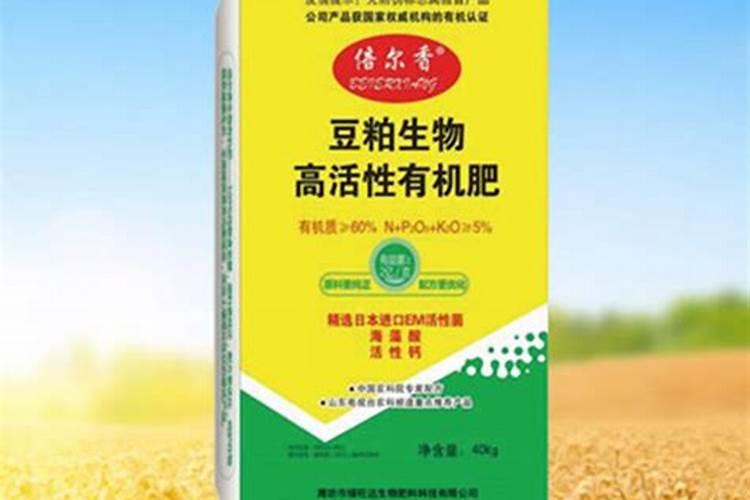 黄瓜喂什么肥料能提高口感