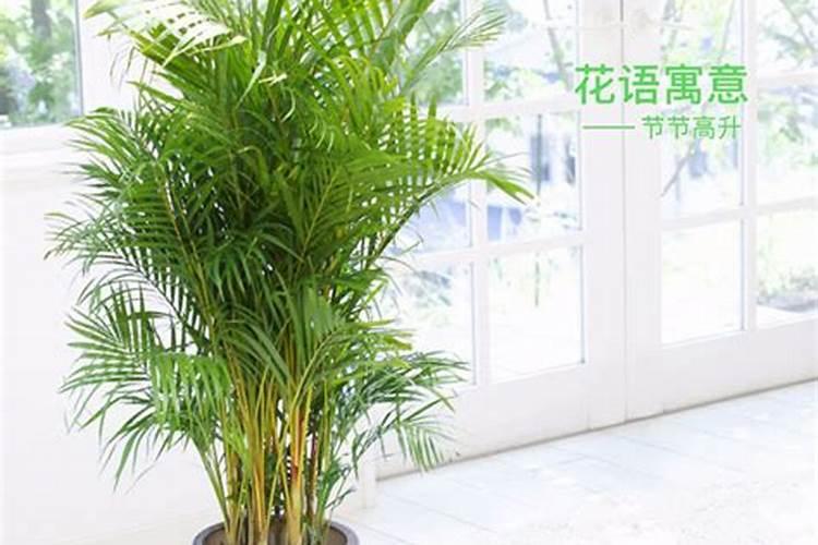 用柏肤源果疏净洗衣服行吗？