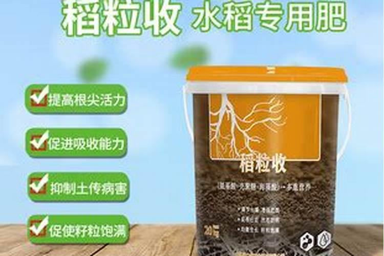 促进韭菜快速生长应该如何施肥