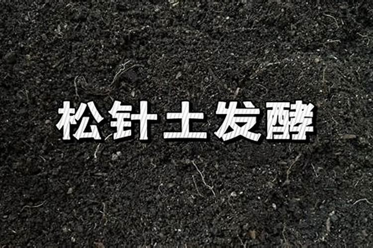 松针发孝后是钾肥吗？