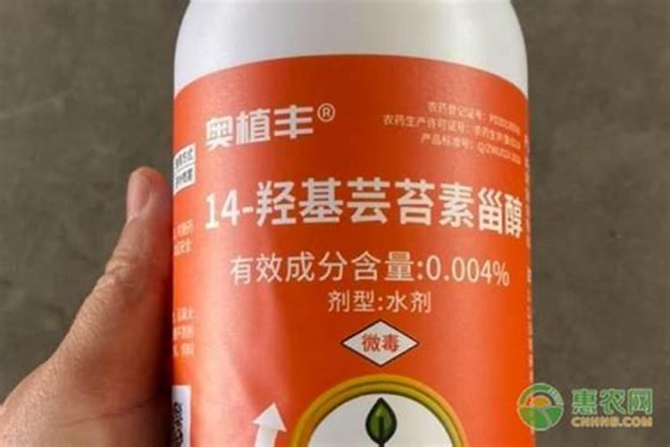萝卜烂根烂叶怎么配药？