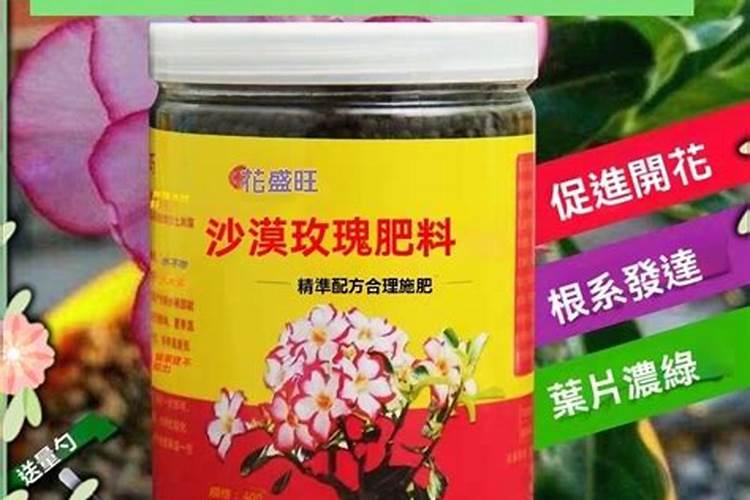 开花期间可以施肥吗